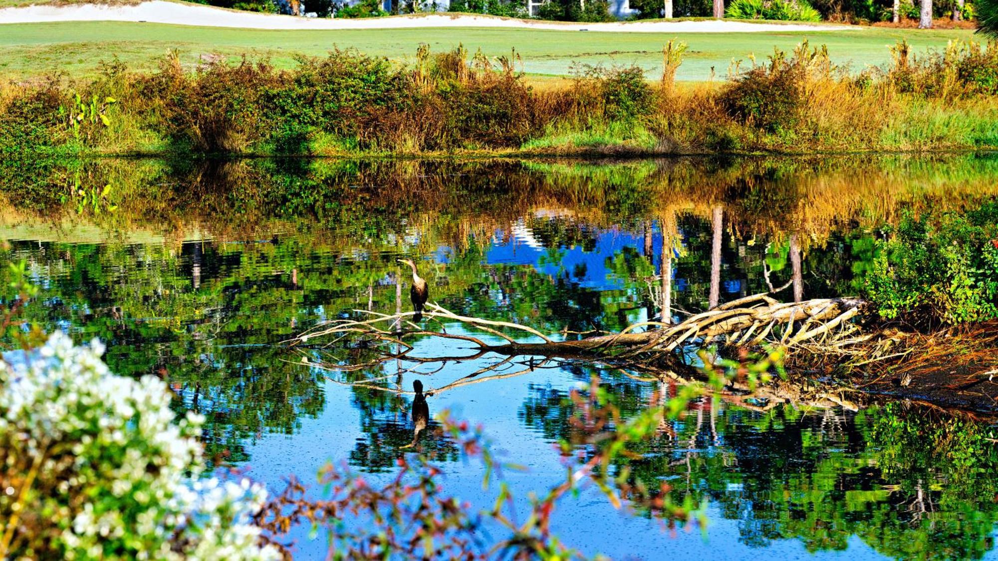 Big Blackjack Landing St James Bay Golf & Pickleball Resort מראה חיצוני תמונה